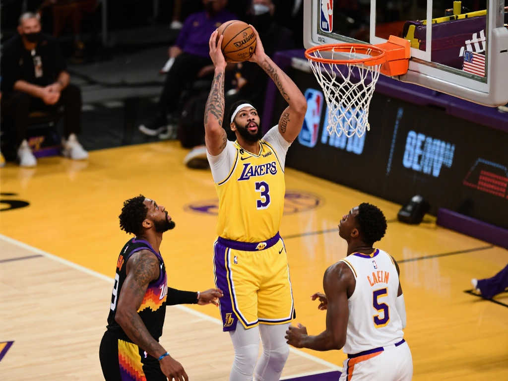 中上演了帽 中上演了帽